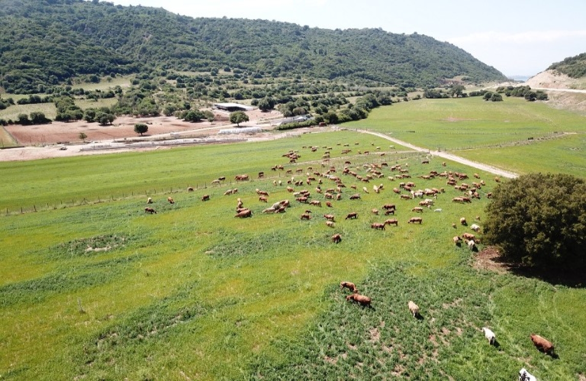 ΟΣΔΕ: ανοιχτές οι διοικητικές πράξεις