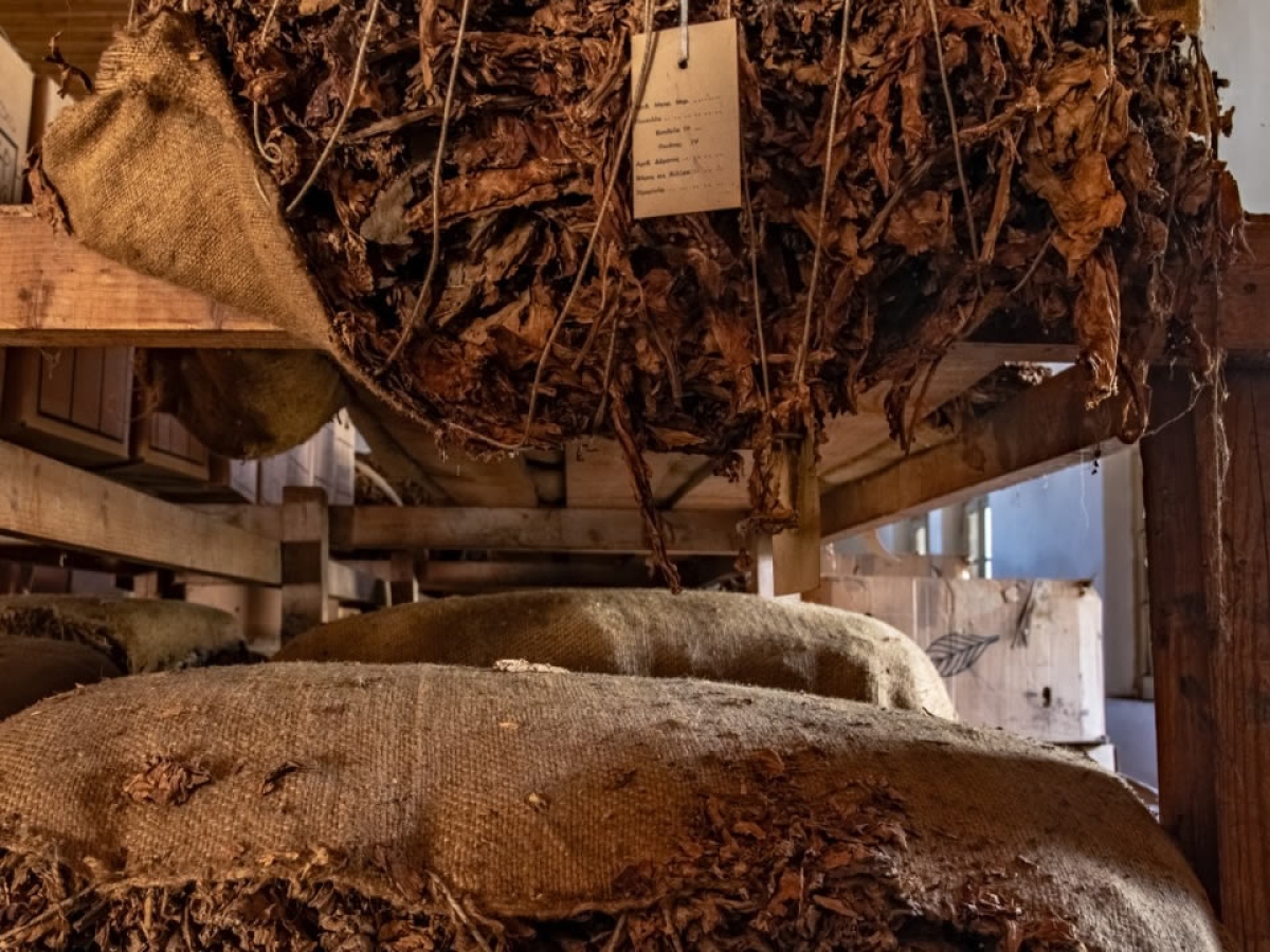 Το υλικό του Ψηφιακού Μουσείου Καπνού Αγρινίου σε Ερευνητικό Κέντρο