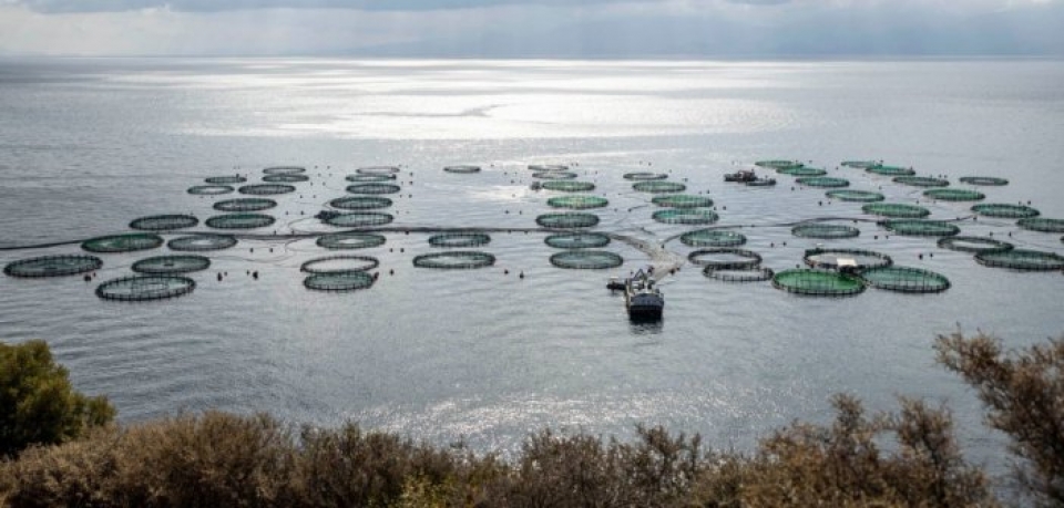 Ξηρόμερο-Χωροταξικό Ιχθυοκαλλιεργειών: Η διαβούλευση έγινε και δεν εκφράσατε γνώμη