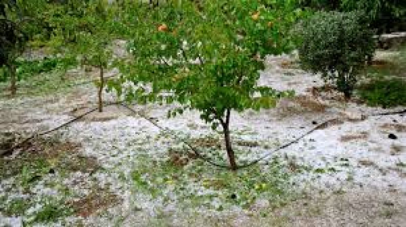 Δηλώσεις ζημίας παραγωγών στην Δημοτική ενότητα Αιτωλικού