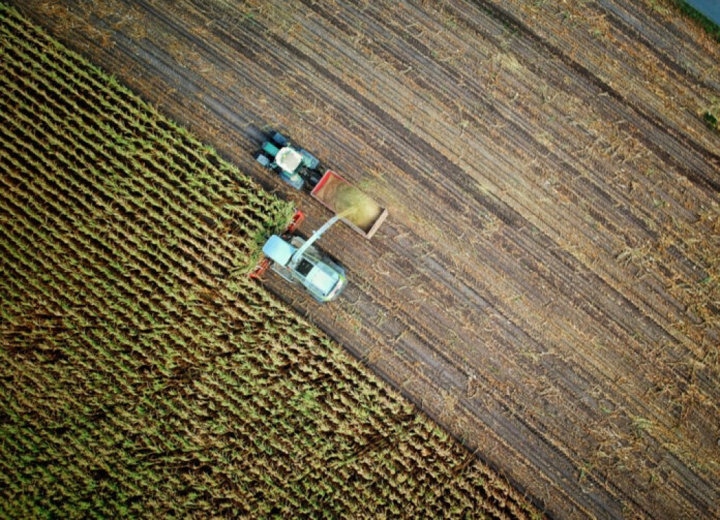 ΟΠΕΚΕΠΕ: Πληρώθηκε η προκαταβολή του 70% της βασικής στήριξης – Τι πληρωμές θα γίνουν το Νοέμβριο