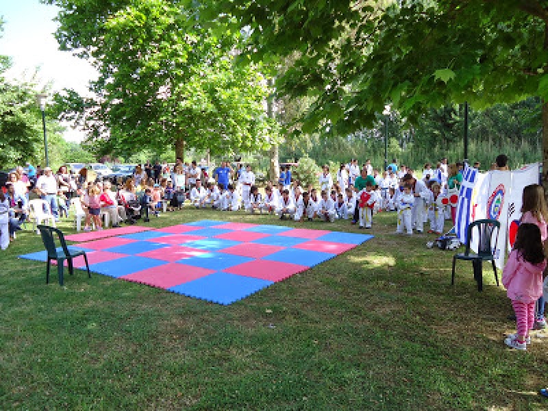 Με επιτυχία το Προπονητικό Σεμινάριο Tae Kwon Do στα Αμπάρια Παναιτωλίου