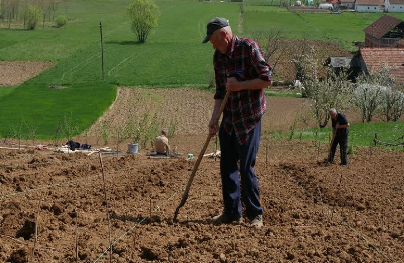 Tο σχέδιο ασφάλισης για τους αγρότες
