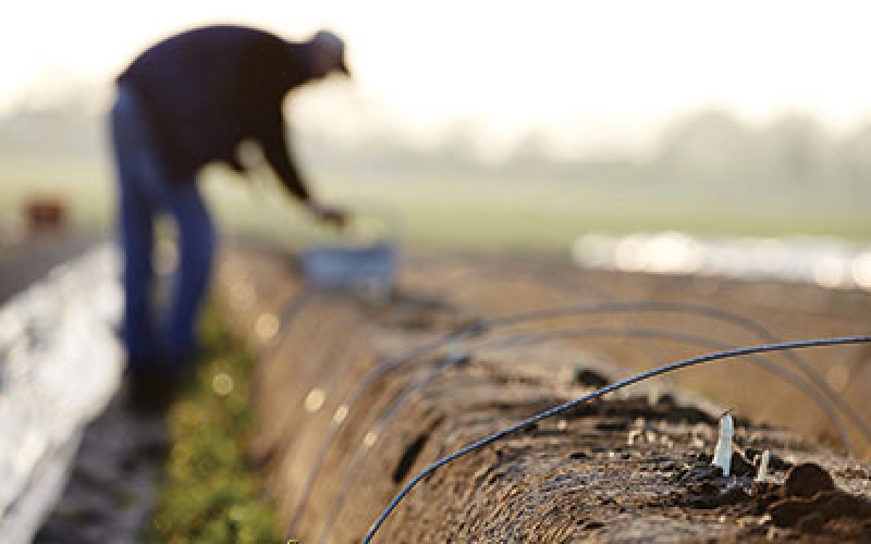 Το νέο ελληνικό όνειρο