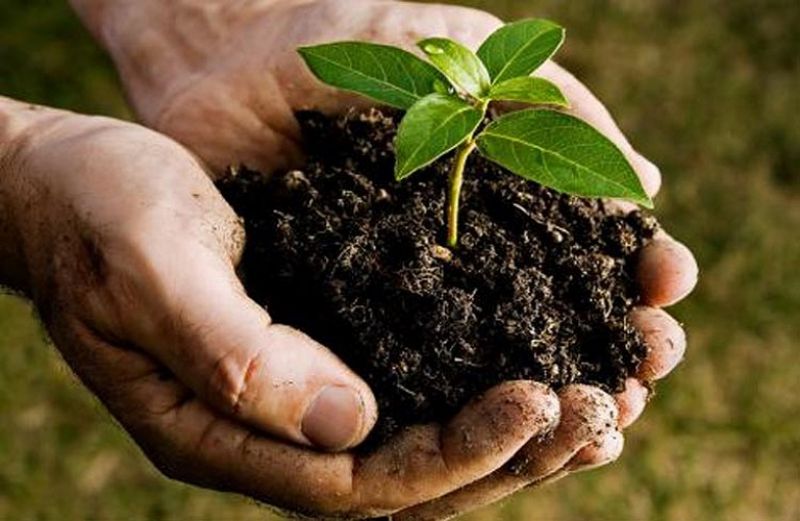 Μπαίνει η προκαταβολή για τη Βιολογική Γεωργία του 2017