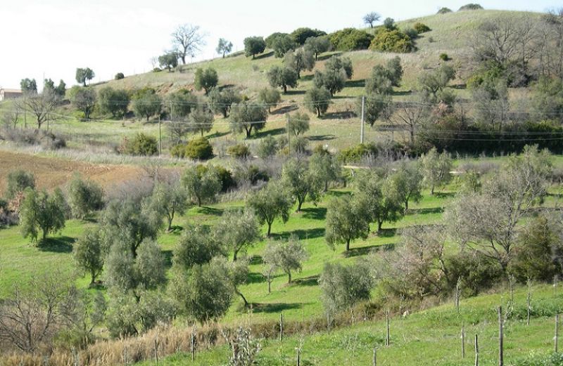 Μετατόπιση του μοντέλου παραγωγής