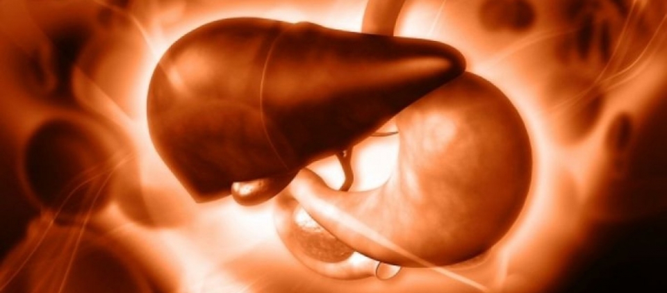 Λίπος στο συκώτι: Γιατί είναι σοβαρό και πώς μπορεί να μειωθεί