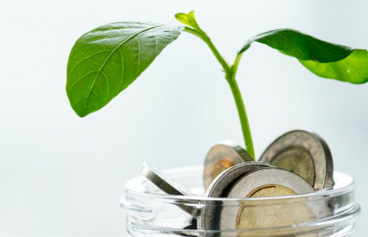 Στ. Αραχωβίτης, Β. Κόκκαλης, Κ. Παπανάτσιου:  «Δάνεια αγροτών και συνεταιρισμών: Κυβερνητική επιλογή η παράδοση της αγροτικής γης σε δικηγορικά και εισπρακτικές»