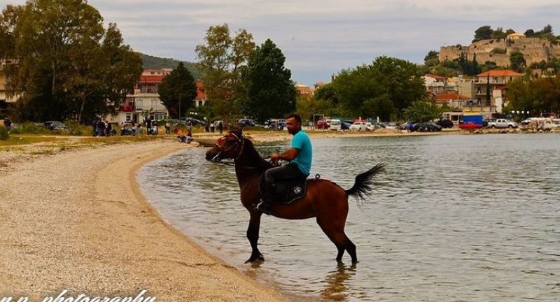 Πανέμορφα άλογα στη Σάλτινη Βόνιτσας (video)