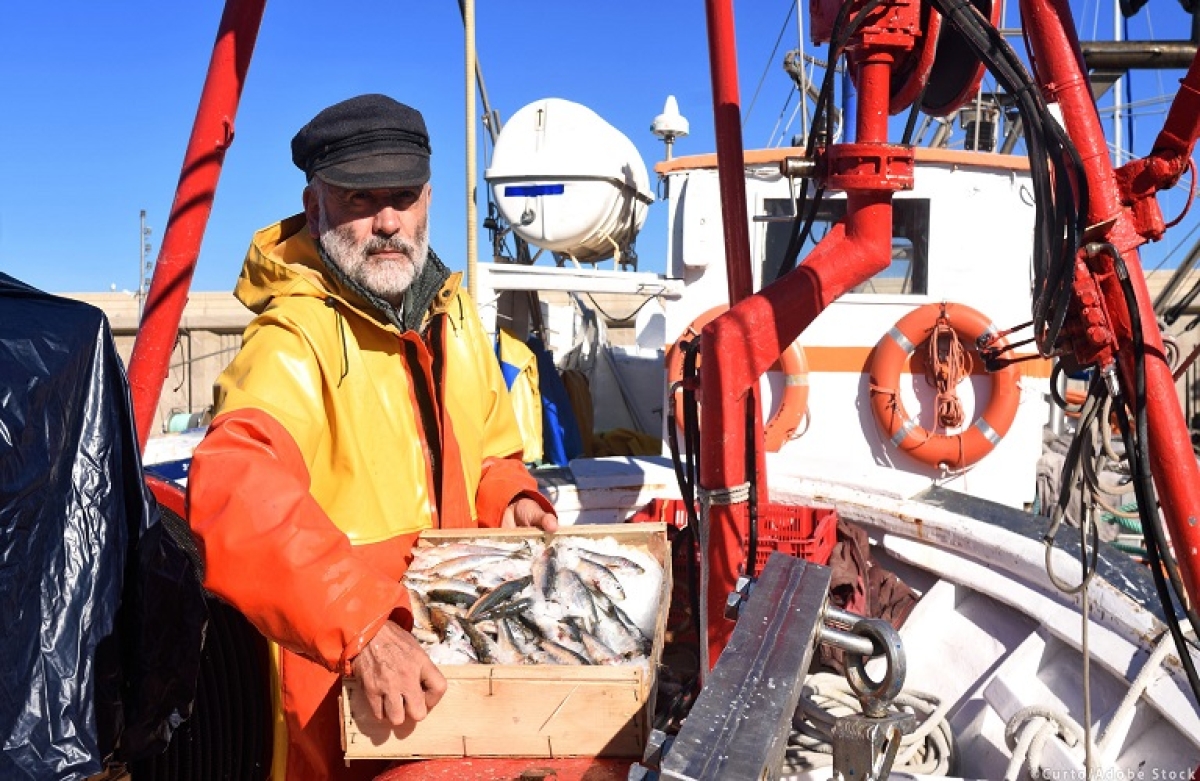 Αιτήσεις για αποζημίωση σε αλιεία και υδατοκαλλιέργειες