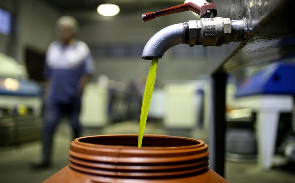 Ανατροπή με το λάδι: Αυτό είναι το νέο πρόβλημα που απειλεί την παραγωγή και την τιμή