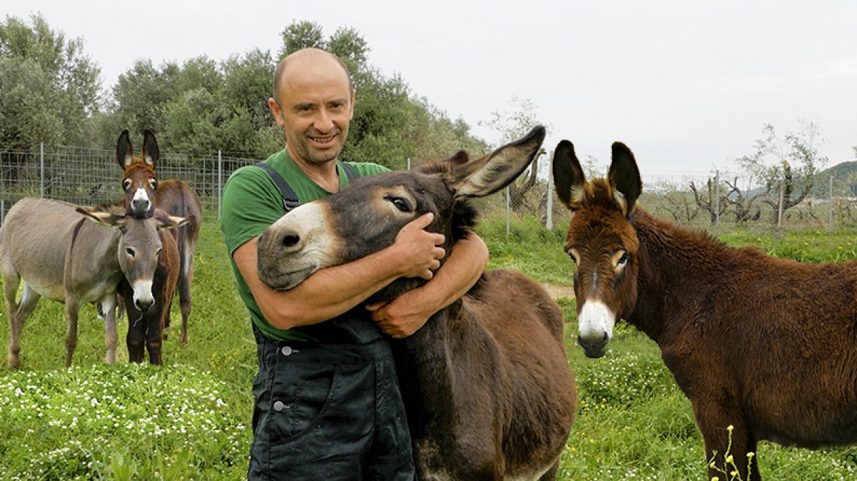 Η φάρμα του Γιώργου με τα γαϊδουράκια (βίντεο)