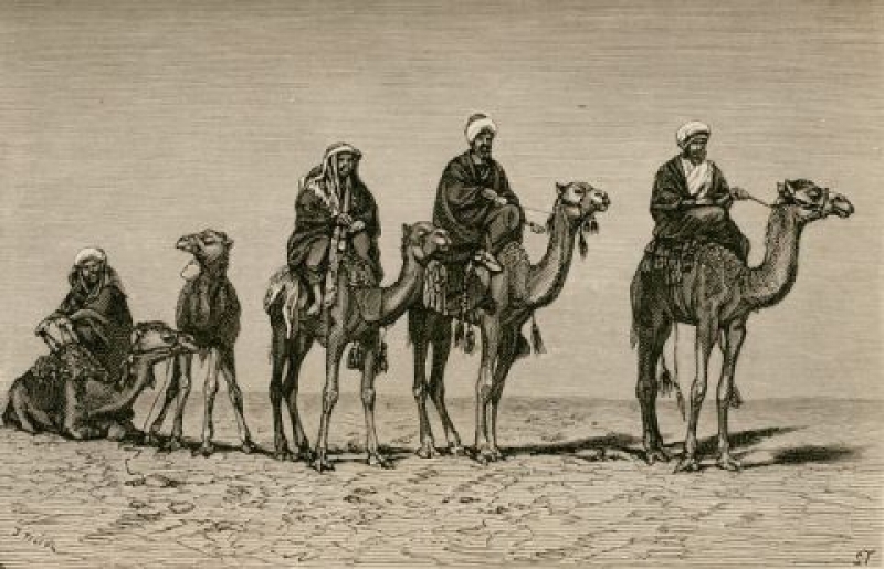 Οι καμηλιέρηδες της έρημης χώρας…Γράφει ο Γιώργος Παληγεώργος