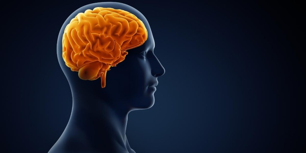 Αυτές είναι οι 7 χειρότερες τροφές για την υγεία του εγκεφάλου