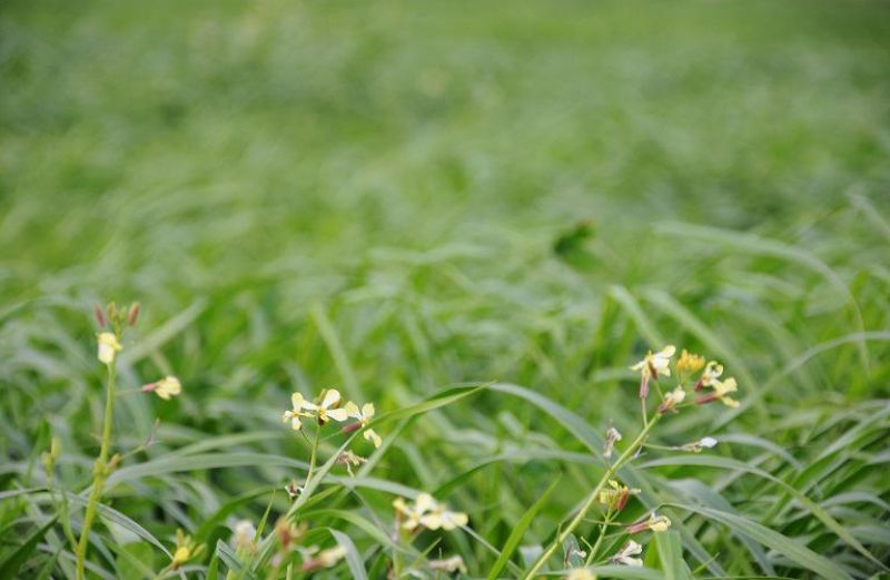 Ομάδες/Οργανώσεις Παραγωγών: Παράταση μέχρι 1 Οκτωβρίου