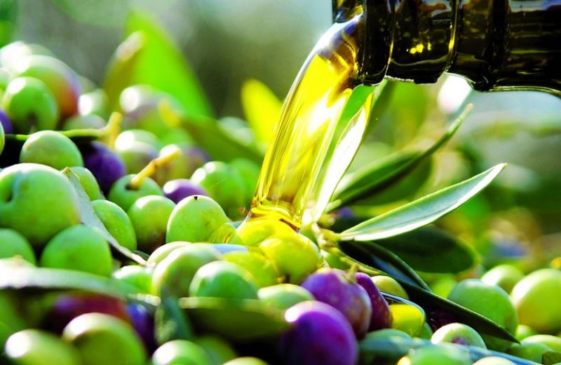 Ελιές - λάδι εκτός αμερικανικών δασμών