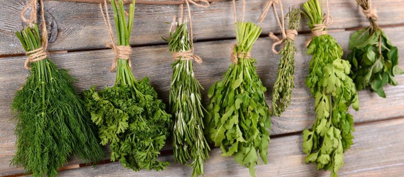 Θαυματουργό: Το ελληνικό μυρωδικό που προστατεύει από υπέρταση και καρκίνο του παχέος εντέρου