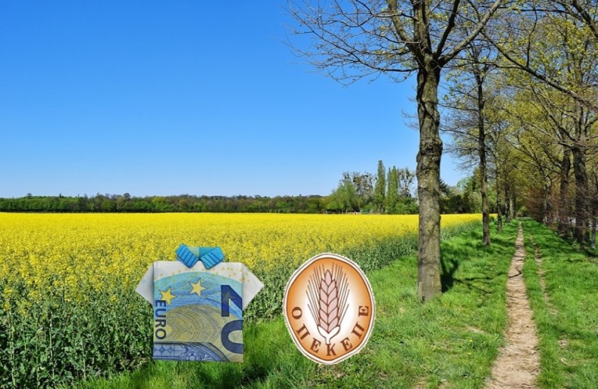 Διευκρινίσεις για την πληρωμή της προκαταβολής 2023