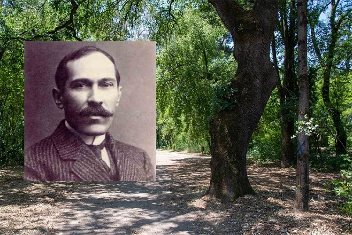 Πάρκο Αγρινίου: Γλυπτό σε κορμό με τον ποιητή Κ. Χατζόπουλο προτείνει η Κίνηση “ΔΡΩ”