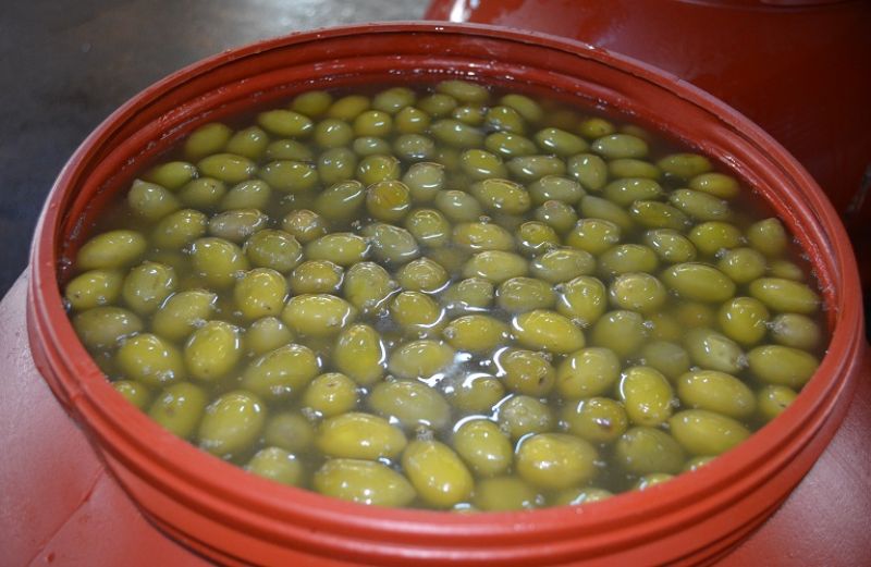 Η επιτραπέζια ελιά στο «μικροσκόπιο» της ΔΟΕΠΕΛ