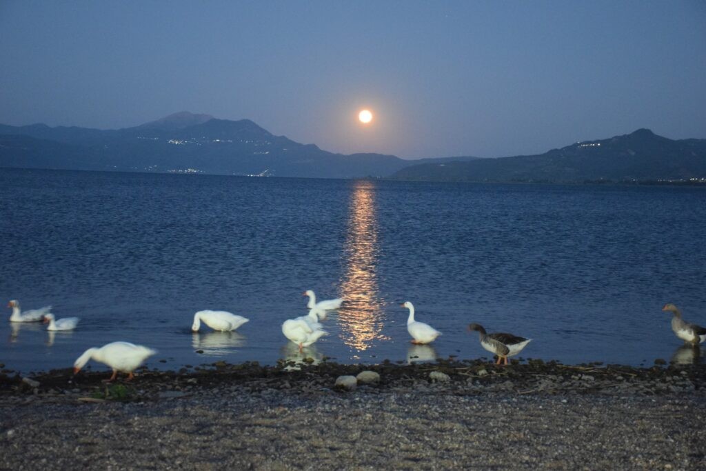Tο «Φεγγάρι του Κόκκινου Ελαφιού» πάνω από την Τριχωνίδα