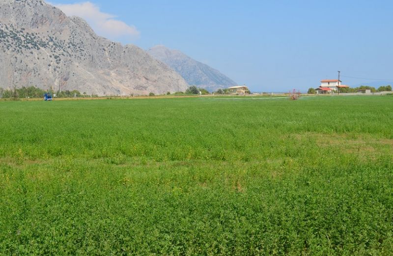 Νέες πληρωμές του ΟΠΕΚΕΠΕ σε 252 δικαιούχους