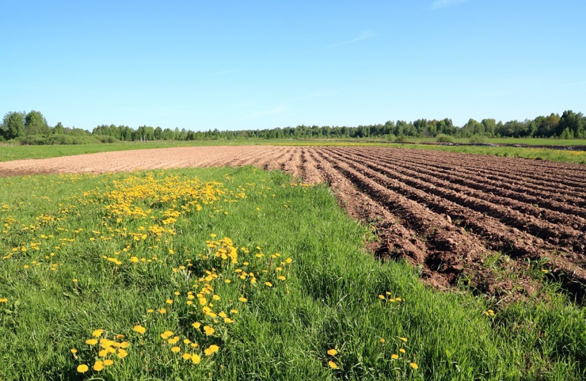 Συμβολαιακή Γεωργία: παράταση στην υποβολή στοιχείων συμβάσεων