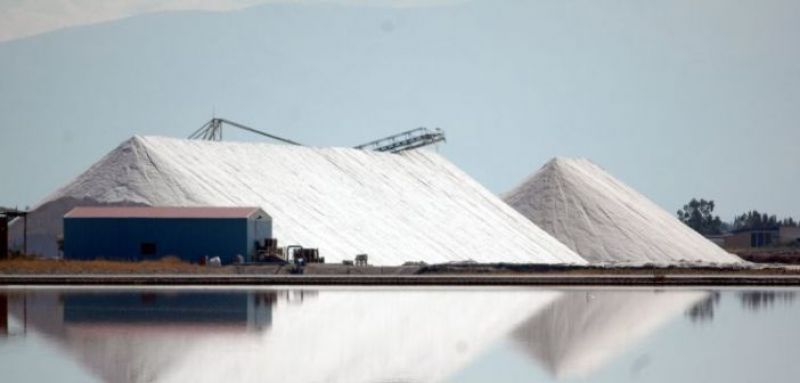 Οι Αλυκές Μεσολογγίου μέσα από τον φακό του Γιάννη Γιαννακόπουλου (φωτο)