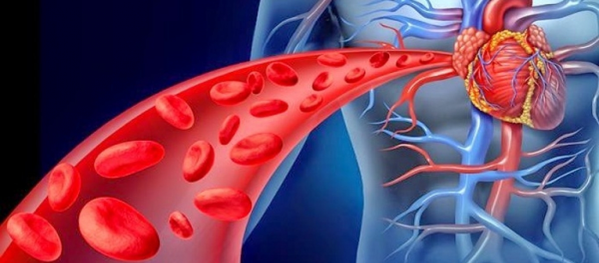 Κακή κυκλοφορία αίματος: Τα 9+1 συμπτώματα που χρειάζονται προσοχή