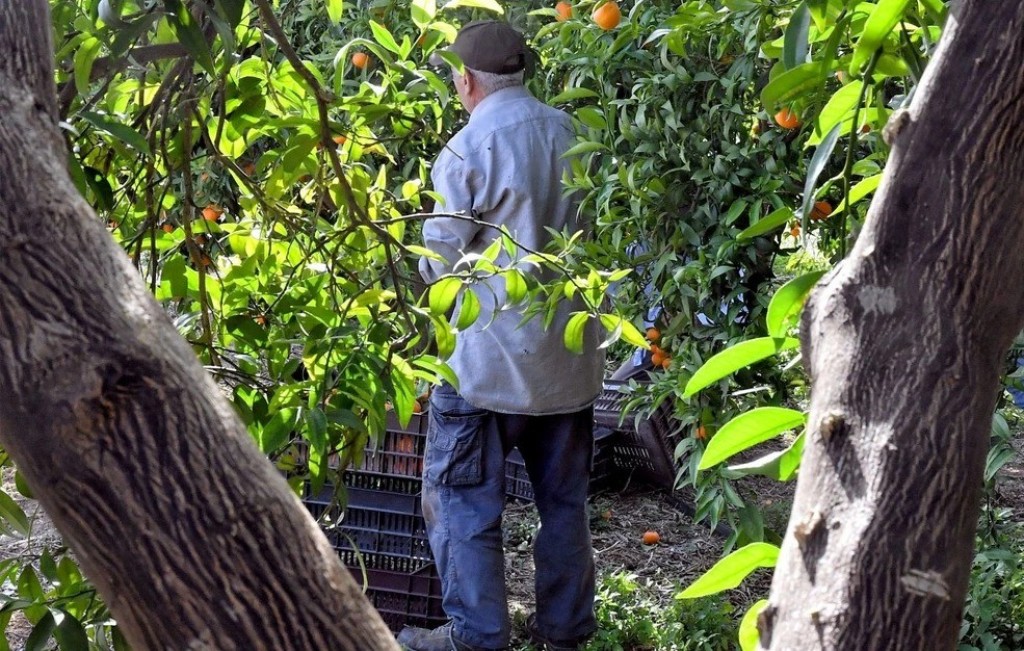 Εργαζόμενοι συνταξιούχοι μπορούν να υποβάλουν αιτήσεις για προσαύξηση της σύνταξής τους μέσω νέας πλατφόρμας του e-ΕΦΚΑ