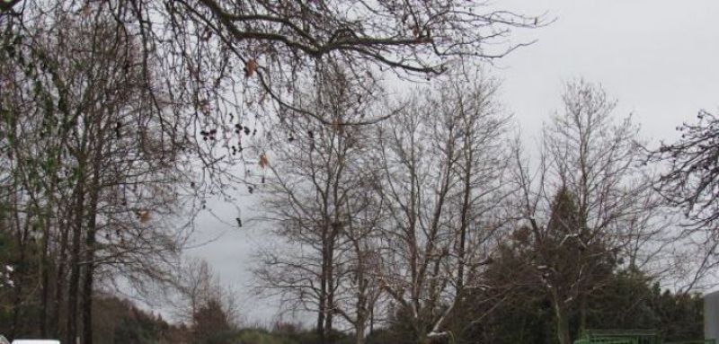 Μαγευτικό χιονισμένο τοπίο στην Φλωριάδα ορεινού Βάλτου Αιτωλοακαρνανίας!