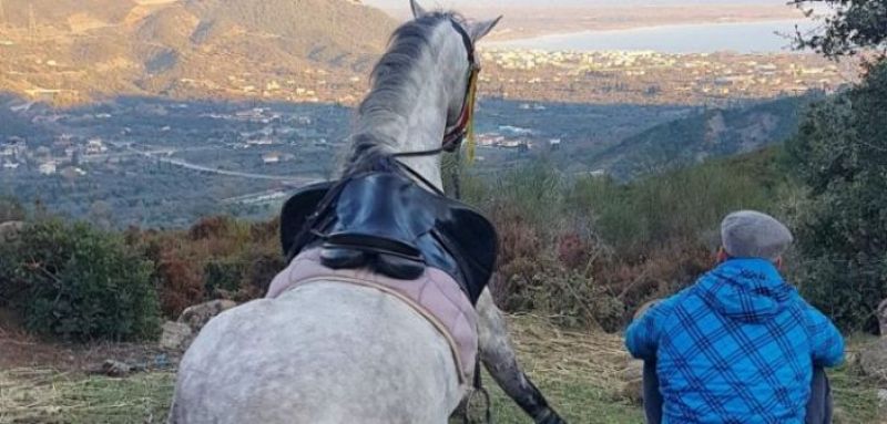 Ανακαλύπτοντας τη Ναυπακτία με άλογο (φωτο, βιντεο)