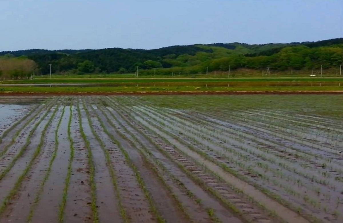 Έρχονται αποζημιώσεις απ’ τον ΕΛΓΑ και στην Αιτωλοακαρνανία