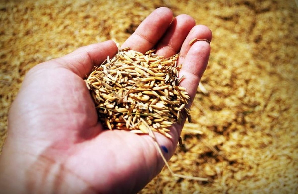 Επισιτιστική κρίση: 9+1 απειλές που την «τροφοδοτούν»