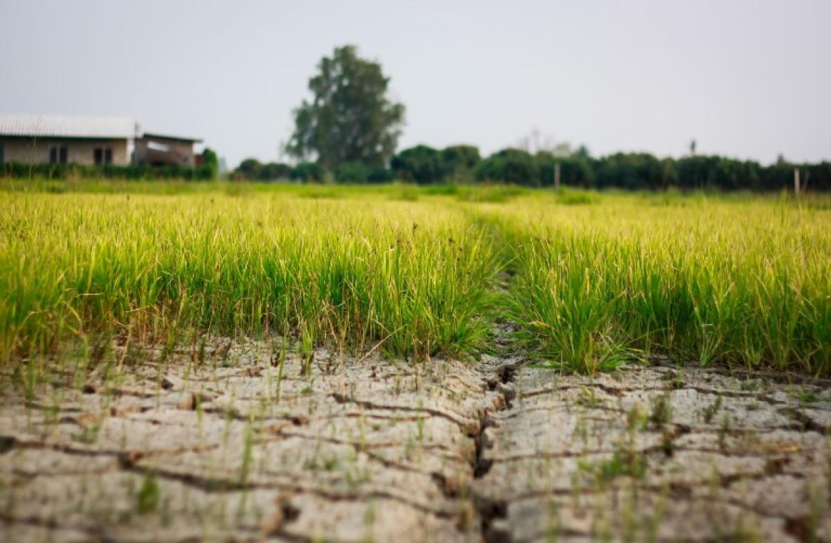 Η κλιματική αλλαγή στην Ελλάδα