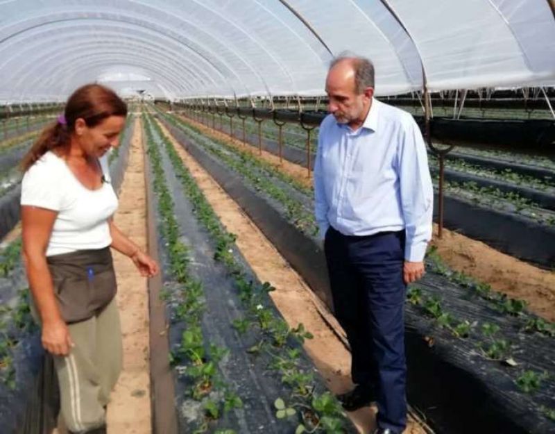 Περιφέρεια: Χρονιά στήριξης των νέων αγροτών το 2018 - Εγκρίθηκαν και χρηματοδοτήθηκαν 1.731 σχέδια σε Αιτωλοακαρνανία, Αχαΐα και Ηλεία