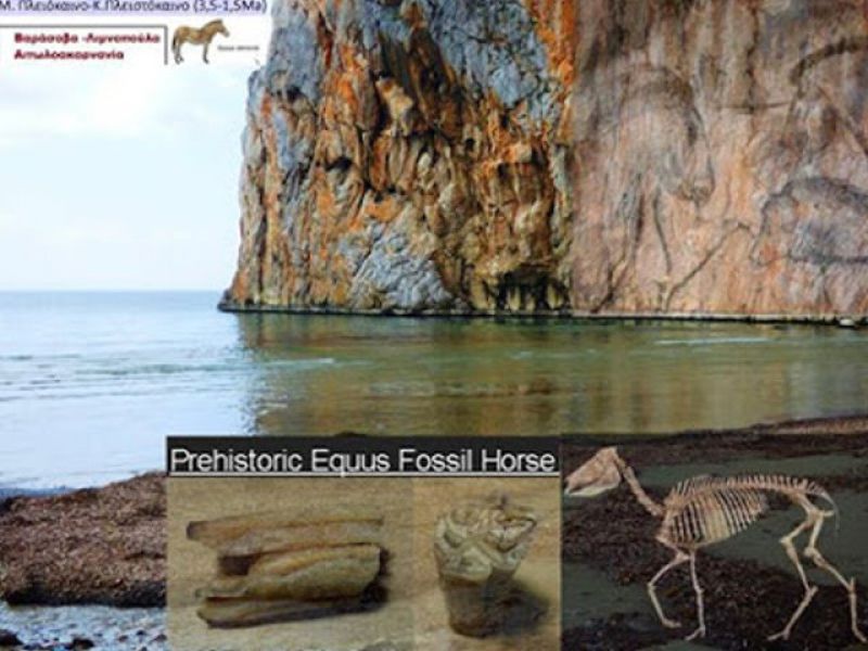 Η Παλαιοντολογική Ιστορία της Αιτωλοακαρνανίας