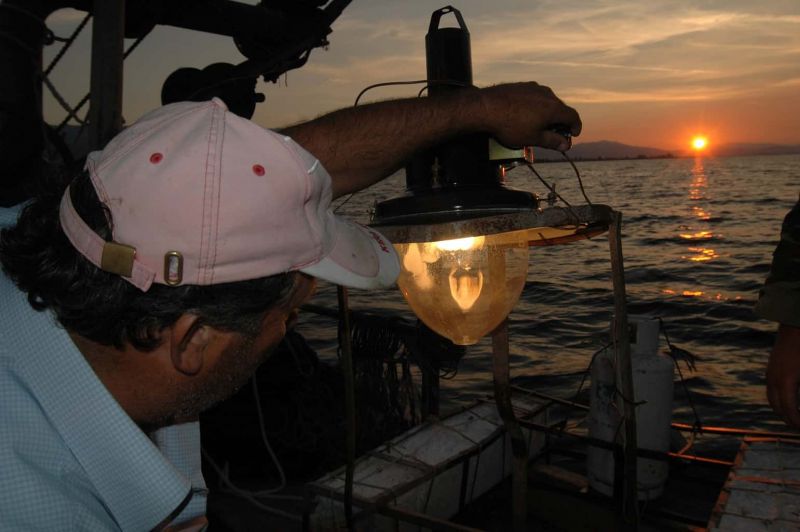 Το ψάρεμα της αθερίνας στη Τριχωνίδα (video)