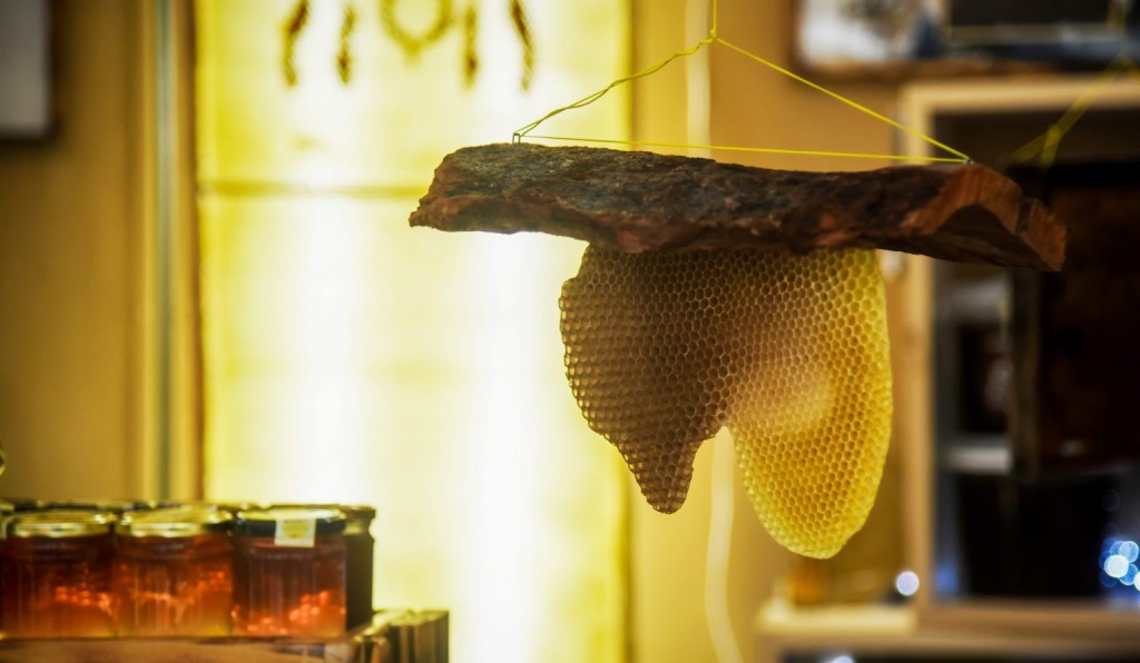 Αιτωλοακαρνανία - Είδος προς εξαφάνιση το μέλι