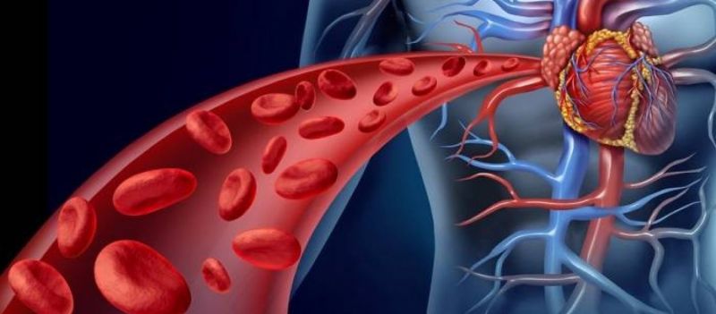 Το ποτό που καθαρίζει τις αρτηρίες και προστατεύει το συκώτι!