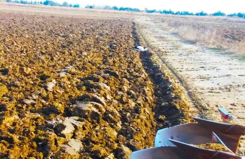 Μέχρι 31 Ιουλίου η καταβολή της ειδικής ασφαλιστικής εισφοράς στον ΕΛΓΑ