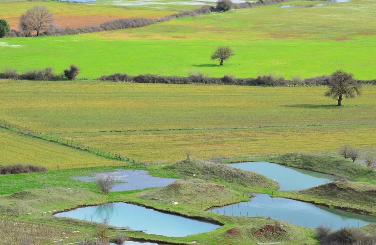 Στροφή προς ένα βιώσιμο γεωργικό μοντέλο