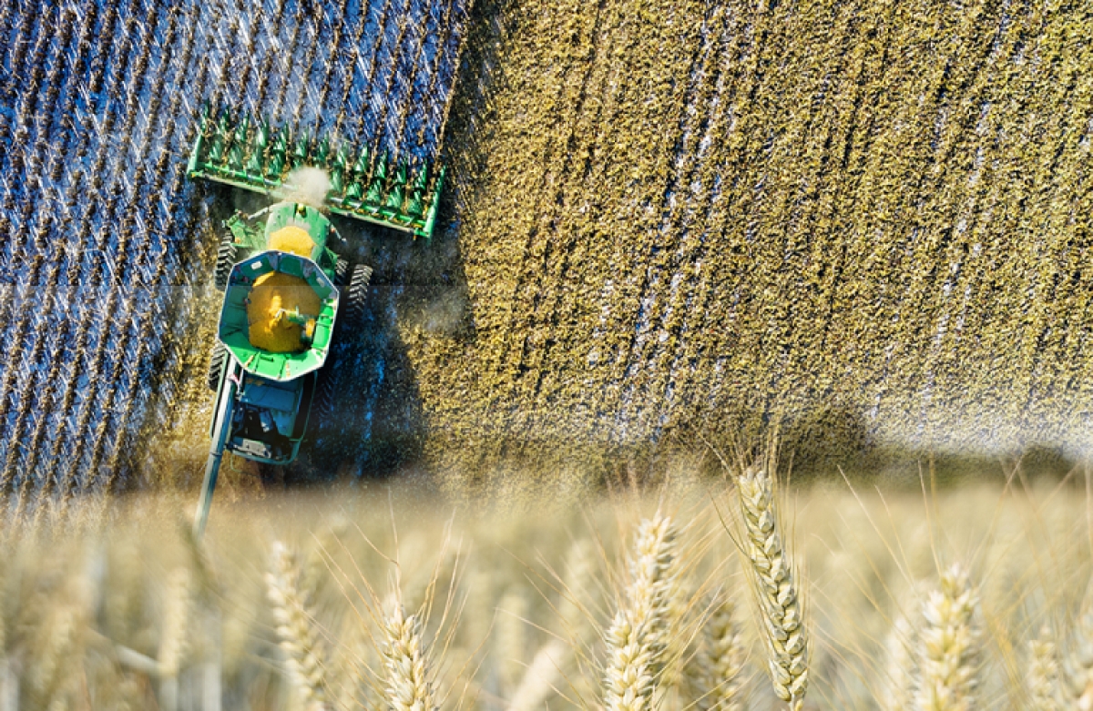 Επισιτιστική ασφάλεια: ποιοι παράγοντες την επηρεάζουν