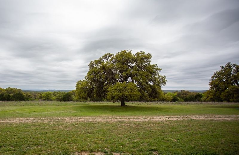 Ενεργοποιείται ο νόμος για την παραχώρηση δημόσιας γης