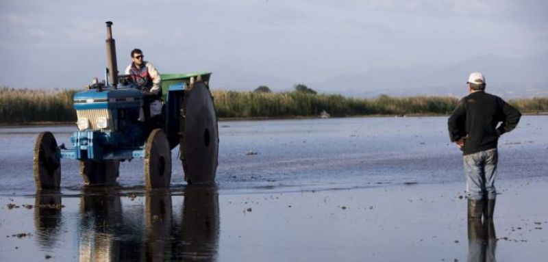 Τι έντυπο μετακίνησης πρέπει να συμπληρώσουν αγρότες και μελισσοκόμοι για να μετακινηθούν