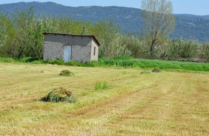 Χορήγηση δικαιωμάτων βασικής ενίσχυσης από το εθνικό απόθεμα έτους 2018