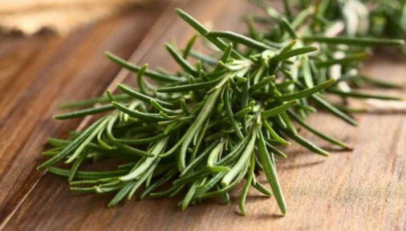 Τα 2 βότανα που ενισχύουν τη μνήμη