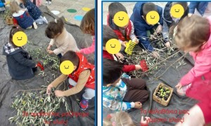 «Λιομάζωμα» στο 16ο Νηπιαγωγείο Αγρινίου