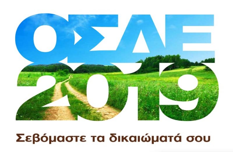 ΟΣΔΕ 2019:  τι περιλαμβάνει η δήλωση – αναλυτικός οδηγός