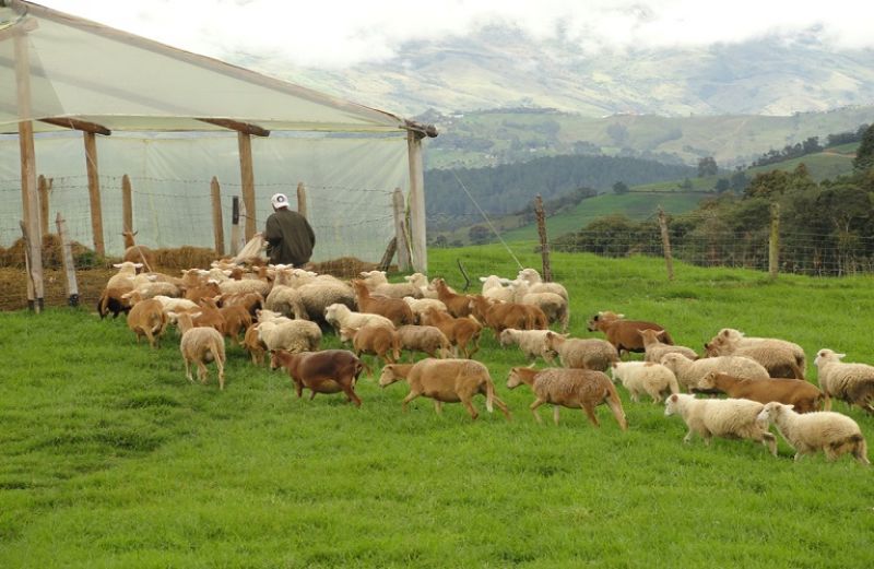 Επείγει η βοήθεια προς παραγωγούς που πλήττονται από τους δασμούς των ΗΠΑ